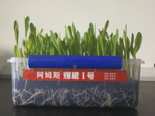 1767866286148108.png image.png