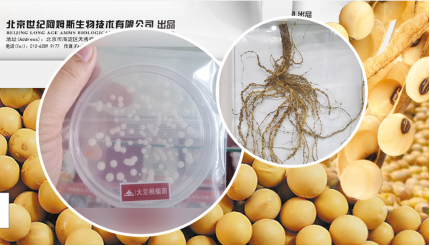 1767952990155139.png image.png