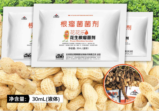 1767953315324361.png image.png