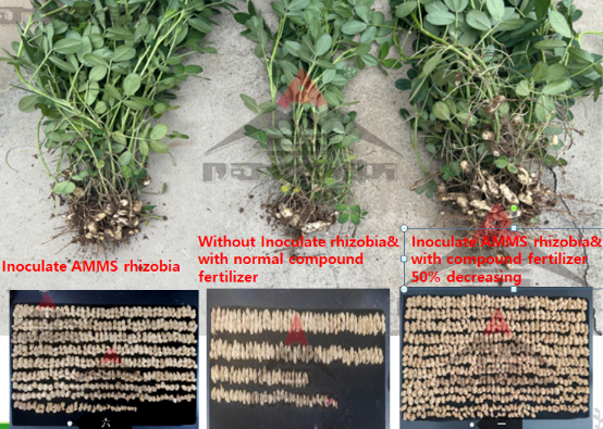 1767953344221424.png image.png