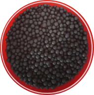 1767953652117884.png image.png