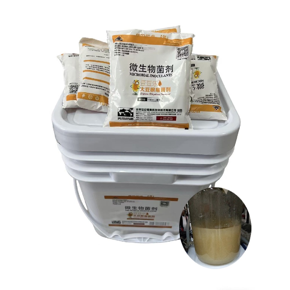 AMMS soybean rhizobium inoculant