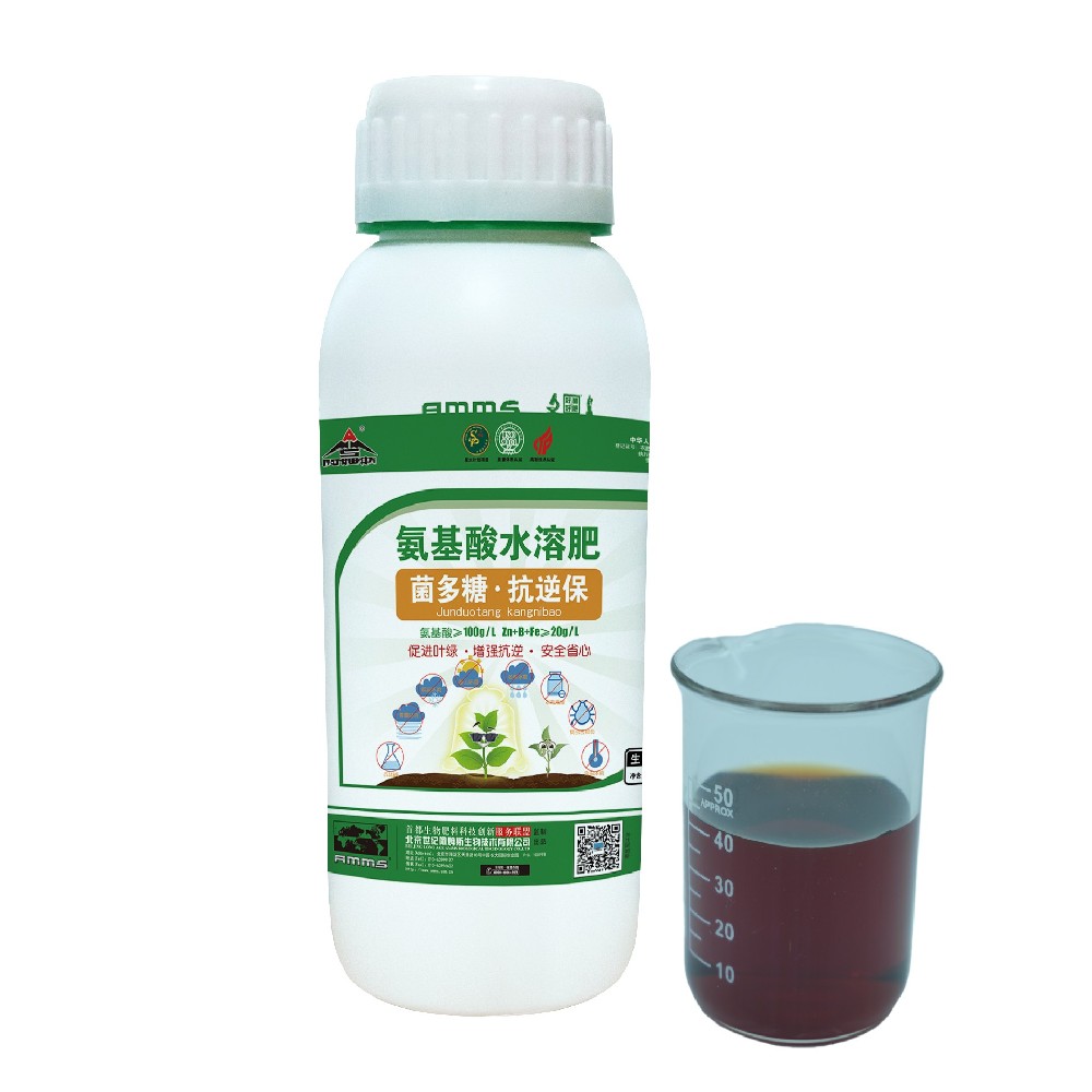 Resilience King---Kangnibao